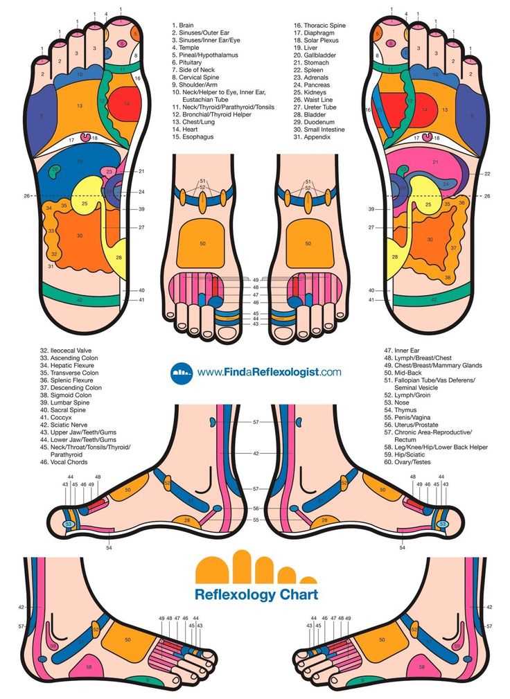 reflexology receipt template