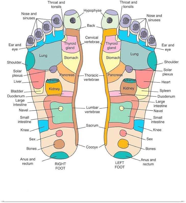 reflexology receipt template